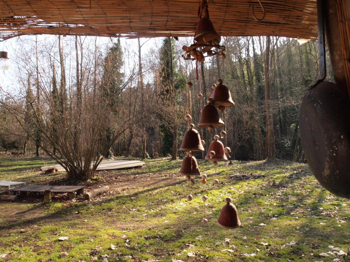 Albergue Del Oso Tierraluz Arbúcies المظهر الخارجي الصورة